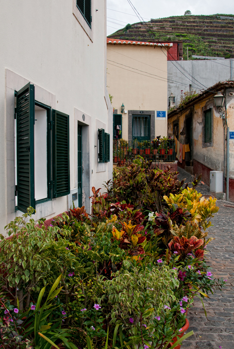 342_Madera_Camara de Lobos.jpg